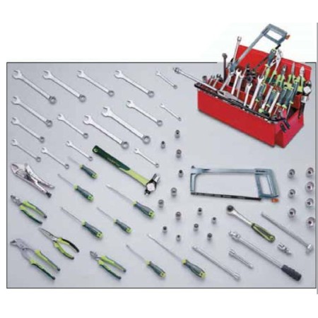 KIT HERRAMIENTA MANUAL PALMERA 56PZ